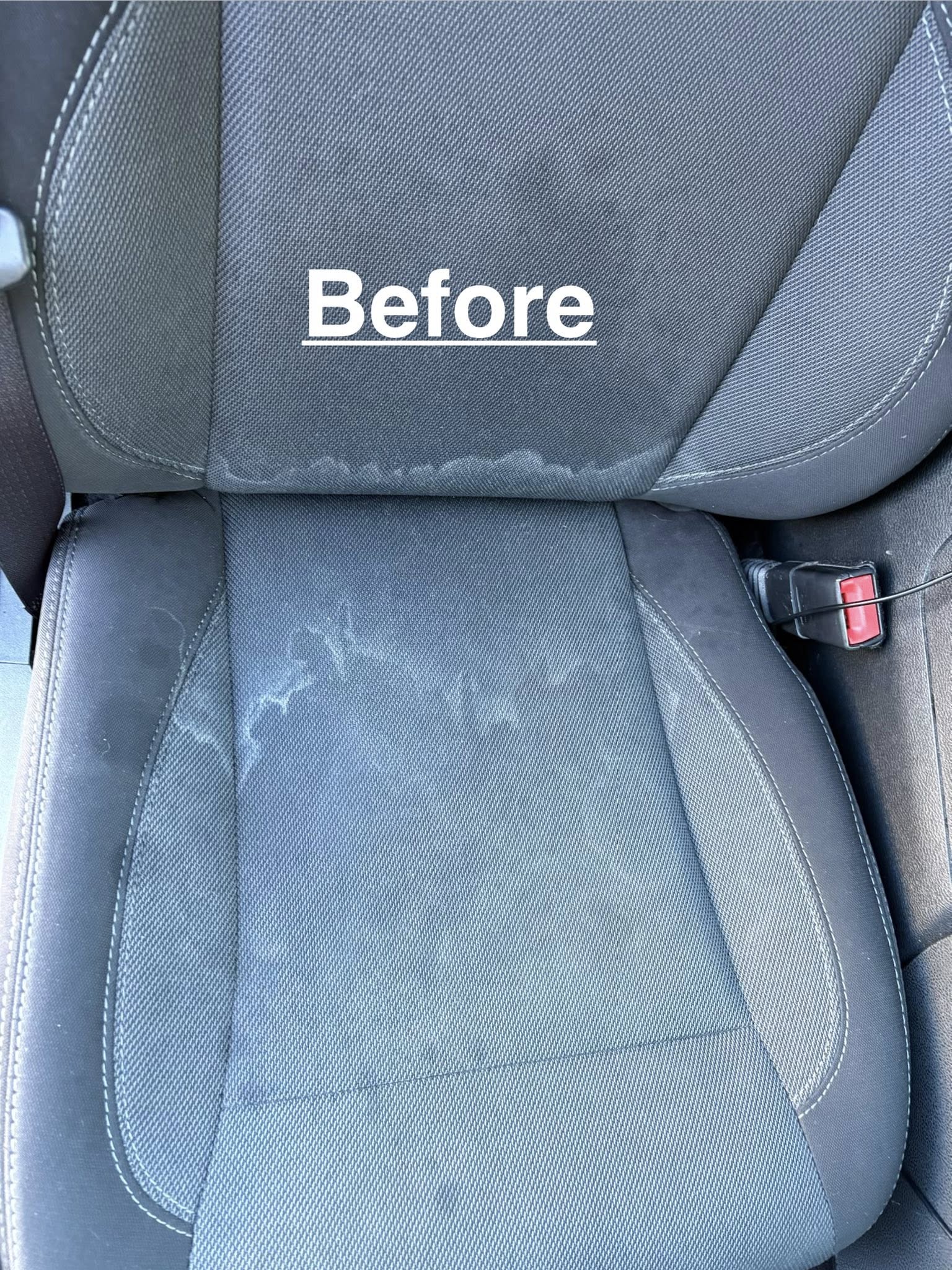 Before — Carpet cleaning project