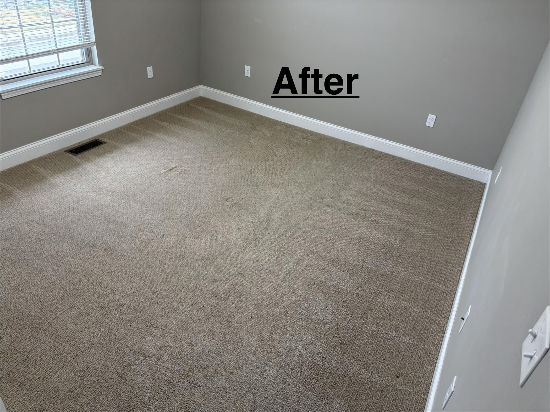 Vac to the Future LLC project photo 2