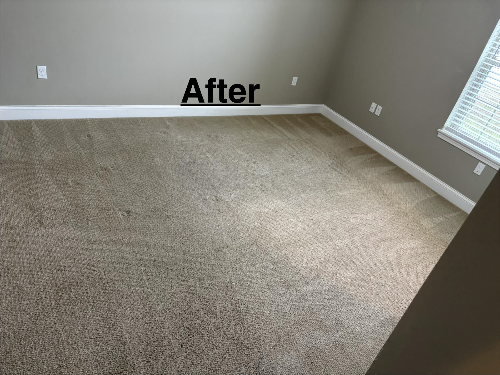 Vac to the Future LLC project photo 4