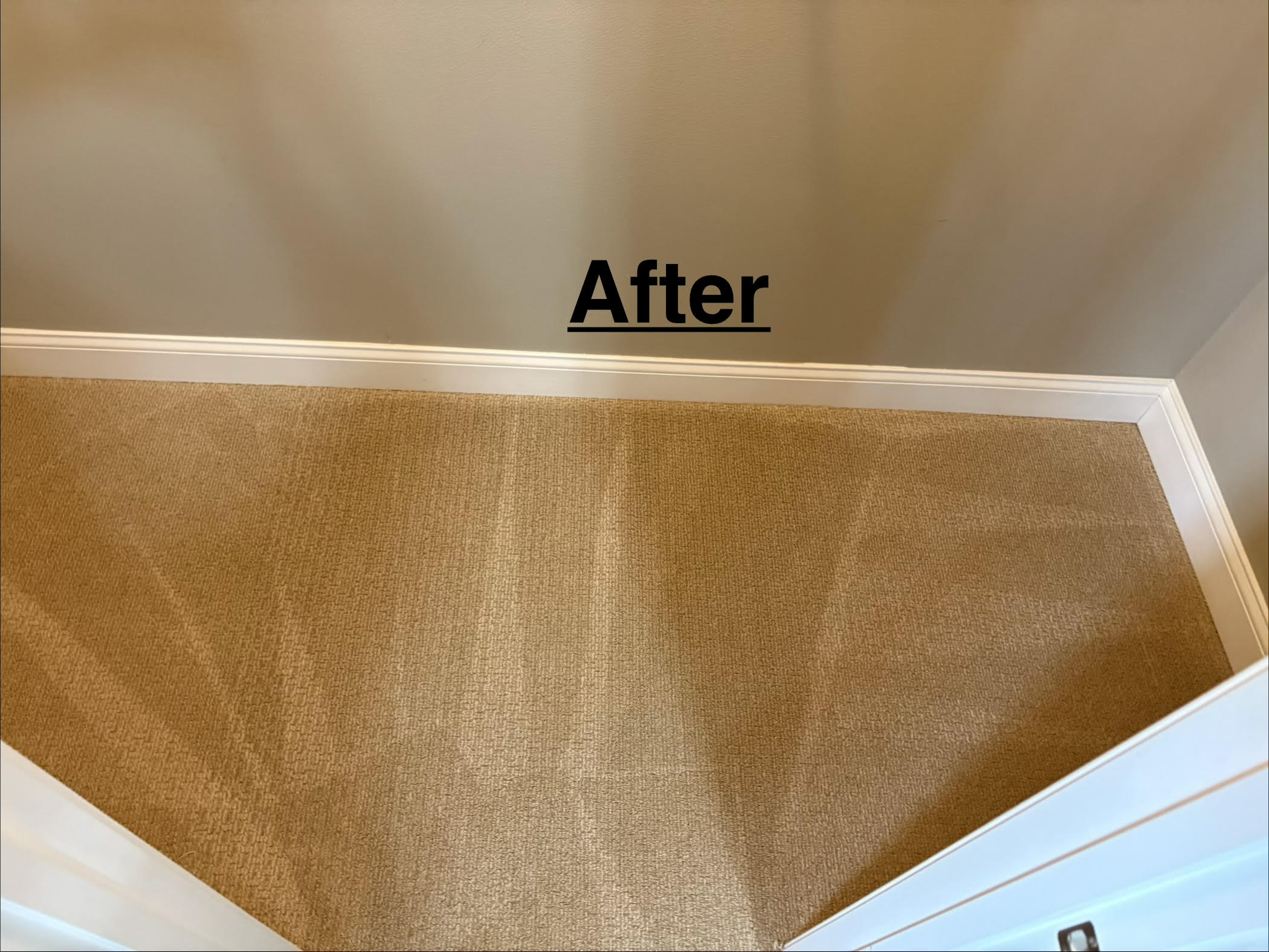 Vac to the Future LLC project photo 5