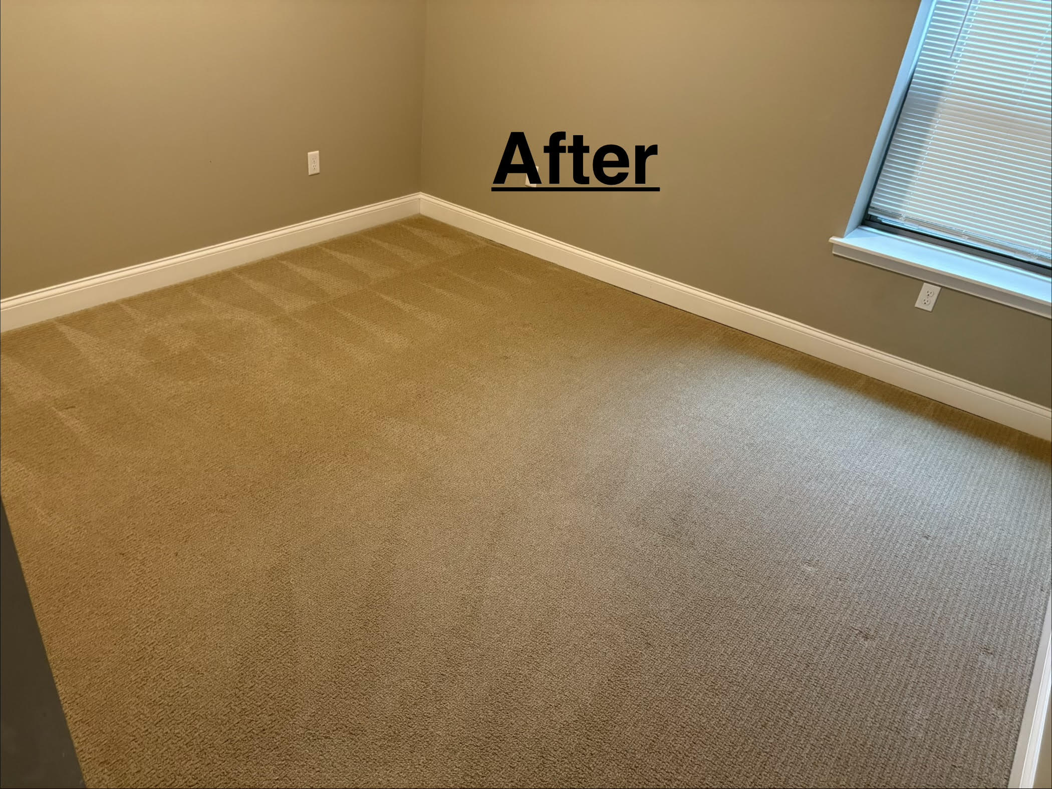 Vac to the Future LLC project photo 7